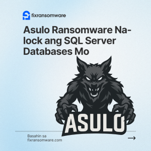 Asulo ransomware decryption service